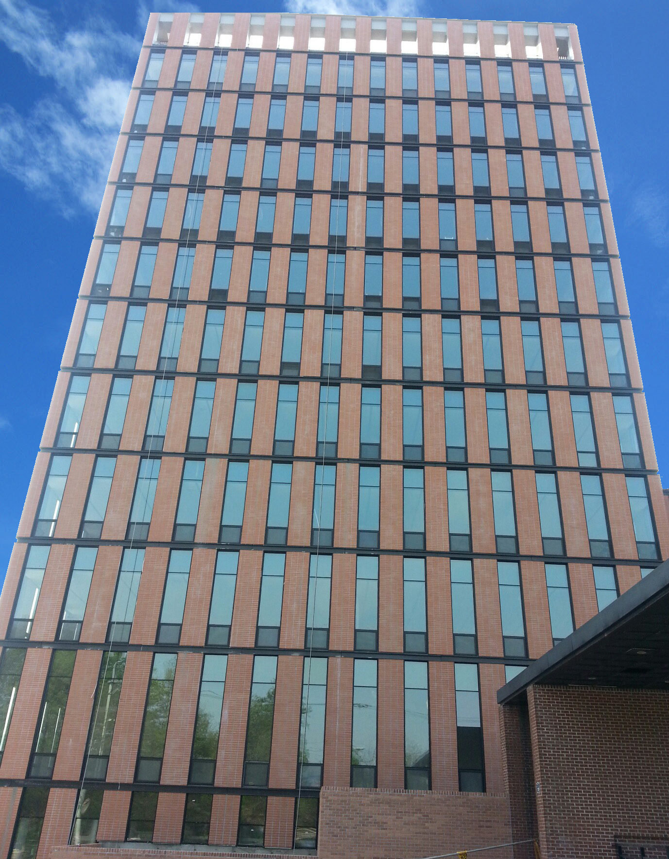 韩国Cha医院